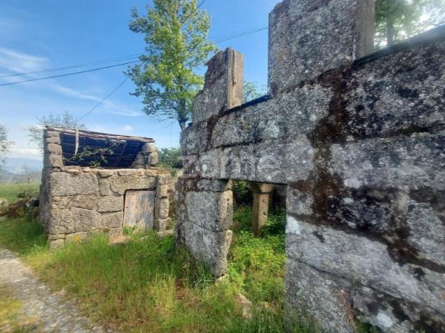 Amarante Amarante LS101452341