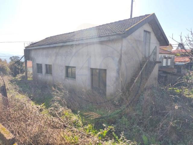 Amarante Amarante LS101452785