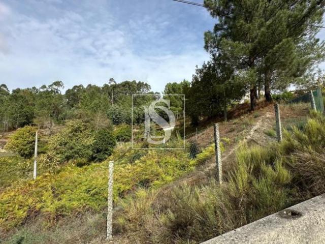 Amarante Porto 97614125
