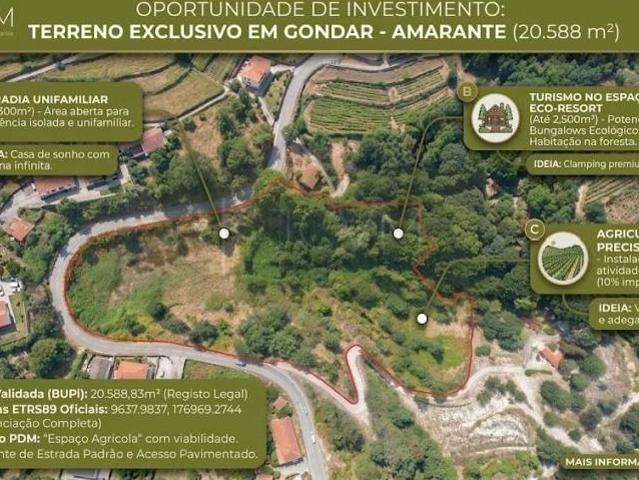Amarante Porto 104684426