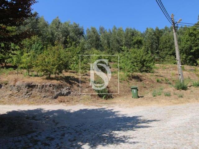 Amarante Porto LS94668611