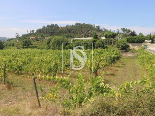 Amarante Porto LS94668703
