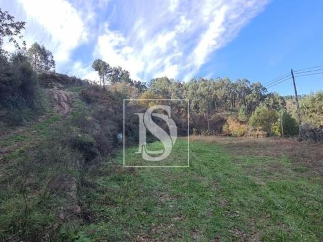 Amarante Porto LS96622934