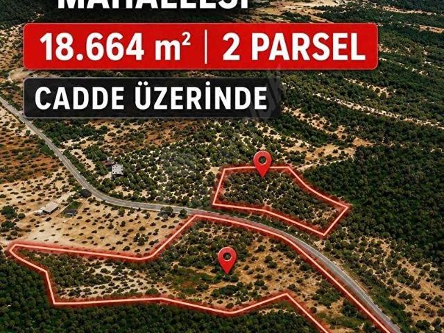 AMBARCI'dan Özbek'te Cadde Üzeri Satılık 2 Parsel Arazi
