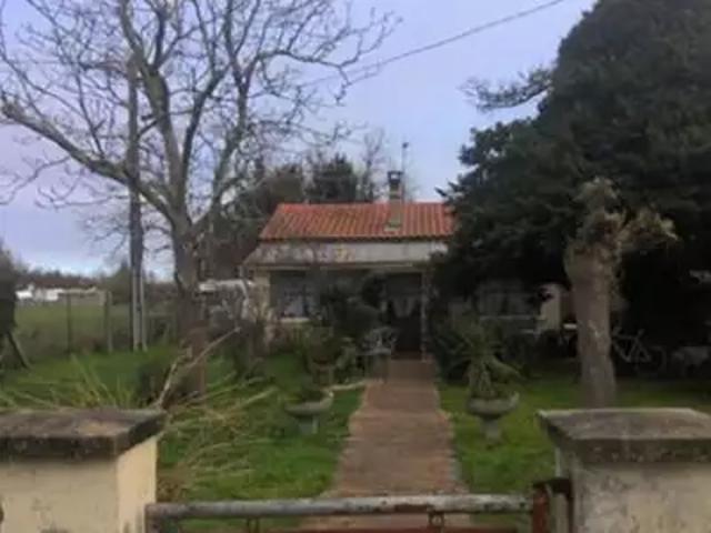 Ambarès et Lagrave 33440 Achat / Vente maison 4 pièces t4 jardin