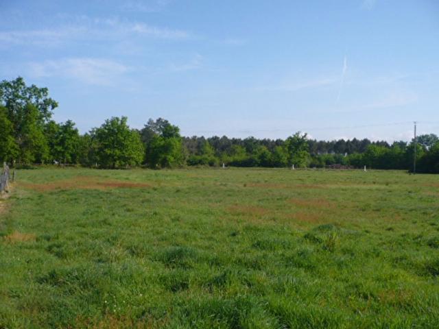 Ambarès et Lagrave Vente Terrain 33