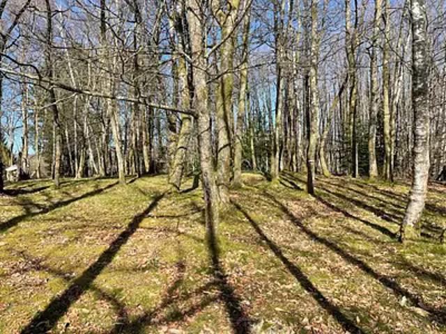 Ambazac 87240 Achat / Vente terrain