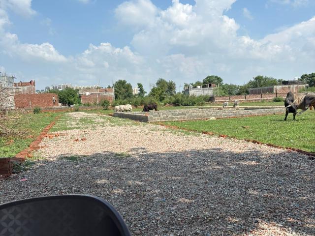 Ambedkar City 80 Sq.Yd. Plot in Sector 123 Noida Listing ID: #8908