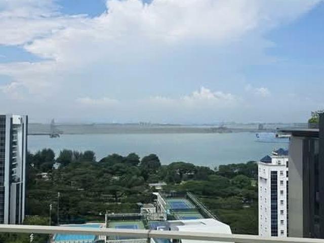 Amber Park D15, Condominium