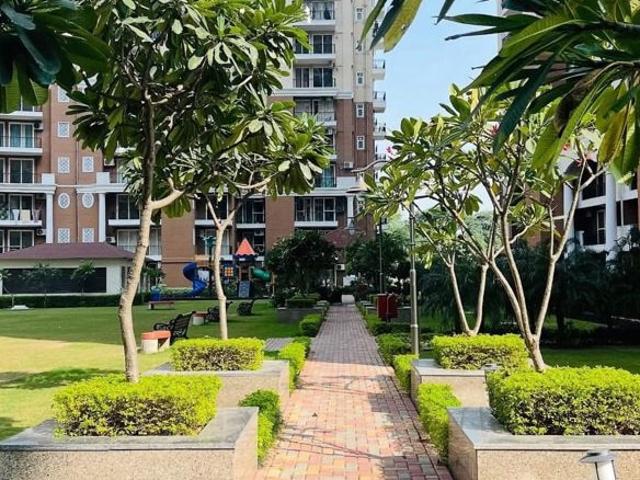 Ambika Florence Park 2 Bedroom 1330 Sq. Ft. Apartment in North Mullanpur Chandigarh Listing ID: #10188