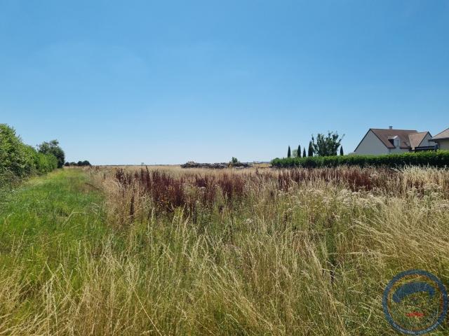 Amboise Terrain à bâtir viabilisé 1314 m2 Quartier prisé