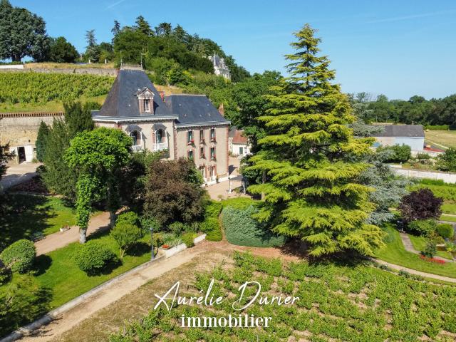 Amboise Vente Propriété/château 37