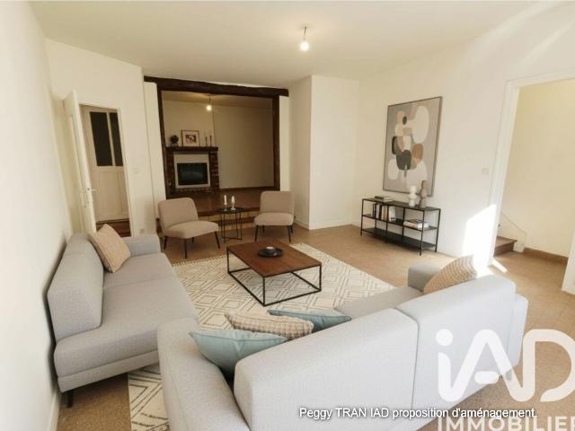 Ambonnay Vente Maison 51
