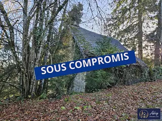 Ambrugeat 19250 Achat / Vente maison 1 pièce t1