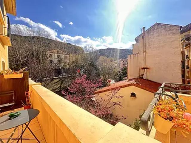 Amélie les Bains Palalda 66110 Achat / Vente appartement 2 pièces t2