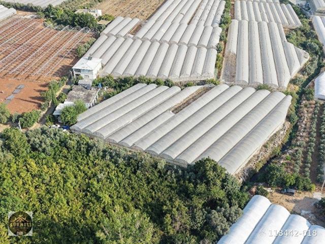 ÇAMKÖY SATILIK 5479 M2 4 DÖNÜM SERA 200 M2 BETON EV