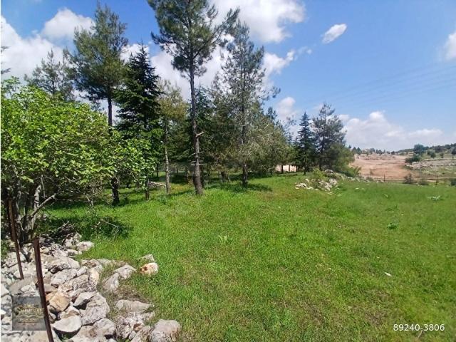 ÇAMLIYAYLA BELÇINAR MEVKİİ ANAYOLA SIFIR ARAZİMİZ SATILIKTIR