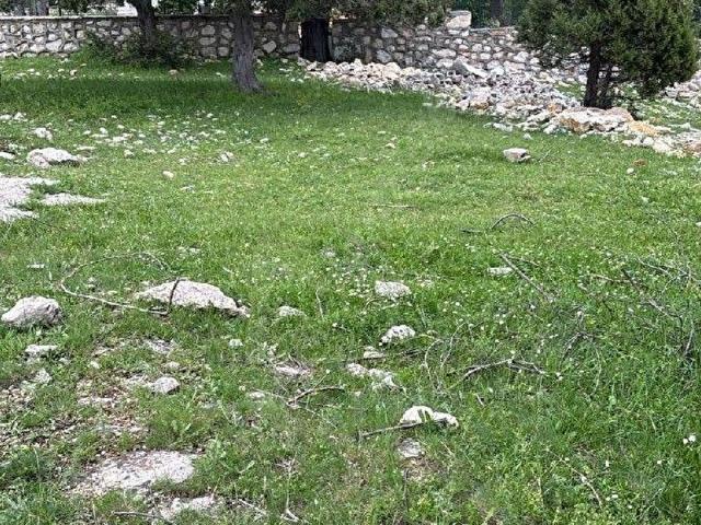 ÇAMLIYAYLA SIĞIRYAYLASI SATILIK ARSA