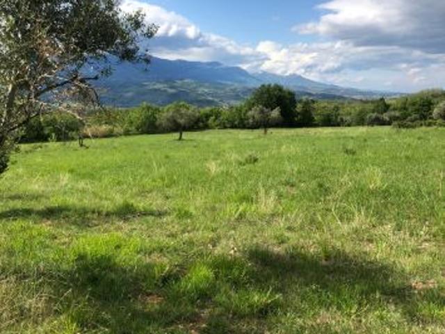 Ampia Tenuta Agricola in Abruzzo