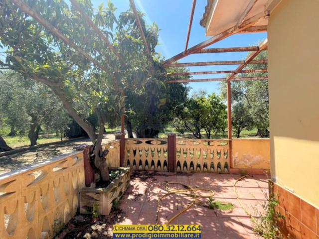 Ampia campagna 87 mq con terreno zona C.da Cimalda in vendita a Molfetta