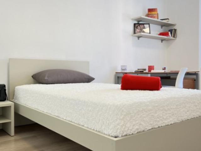Ampia stanza singola in appartamento moderno