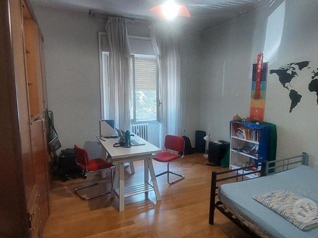 Ampia stanza per studenti in zona Minerva
