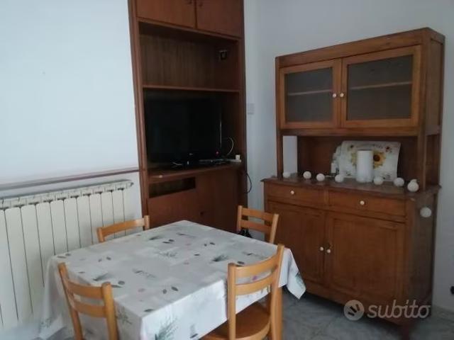 Ampio bilocale zona Campus Einaudi libero dal 1° l