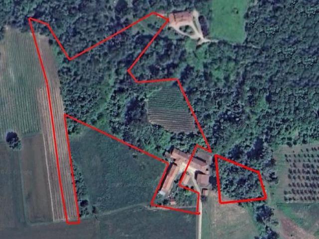Ampio cascinale con vista panoramica su Dogliani e sulle mon. 720m² Dogliani