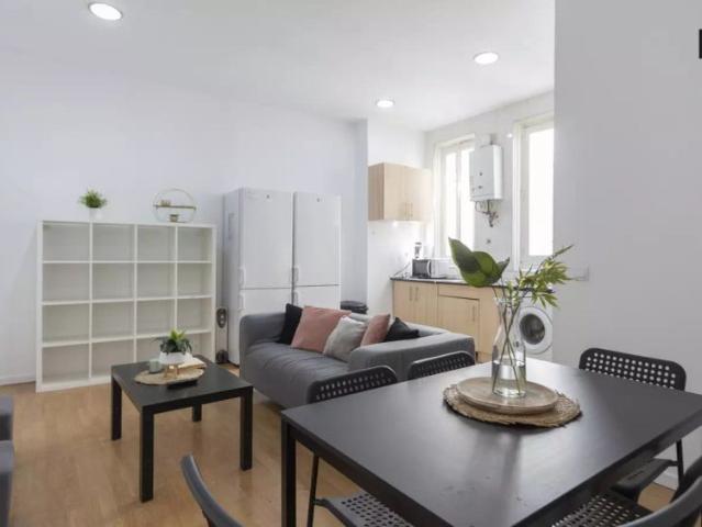 Ample room in shared apartment in Puerta del Sol