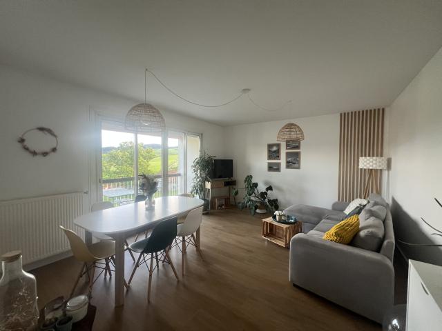 Amplepuis Vente Appartement 69