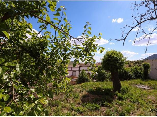 Amplio Chalet en Illora