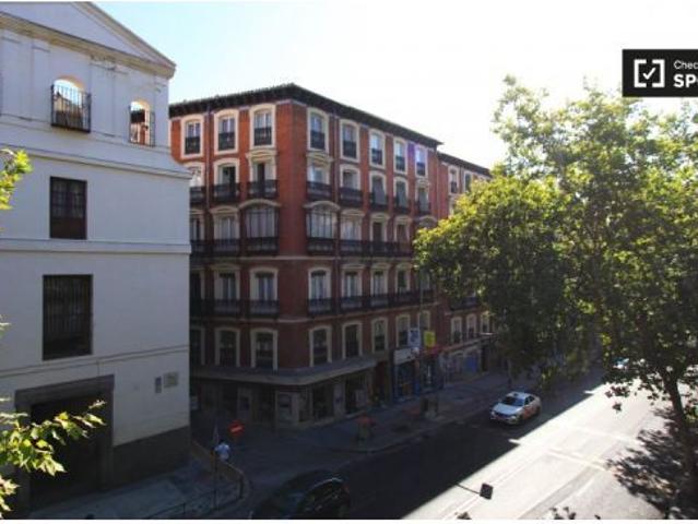 Amplio apartamento de 1 dormitorio con aire acondicionado en alquiler en Lavapiés