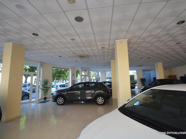 Amplio Local Comercial en Orihuela. Ideal para inversión