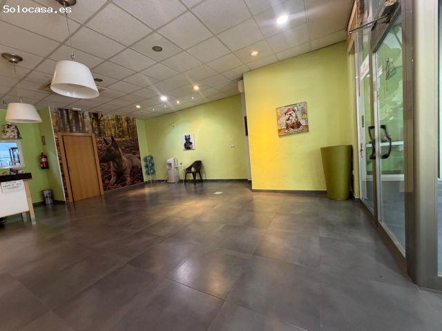 Amplio Local Comercial en Els Orriols, Valencia ¡Una Oportunidad Única!