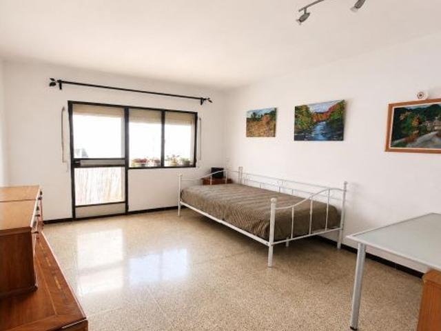 Amplio piso de 3 dormitorios en Palma, ideal como vivienda habitual o inversión