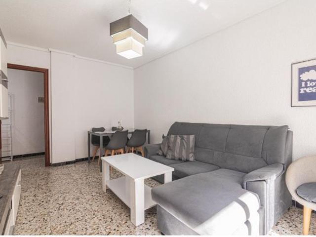 Amplio Piso en Altabix de 4 habitaciones a 5 min de la UMH