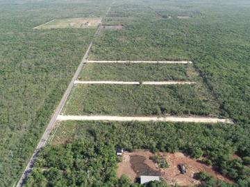 AMPLIO TERRENO CAMPESTRE 15 MINUTOS DE TELCHAC PUERTO