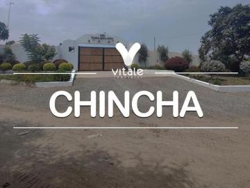 Amplio Terreno en Venta de 4.79 Has El Carmen, Chincha