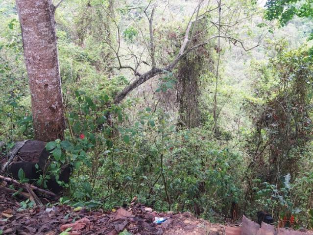 AMPLIO TERRENO EN VENTA EN LA UNIÓN EL HATILLO 30.000mts