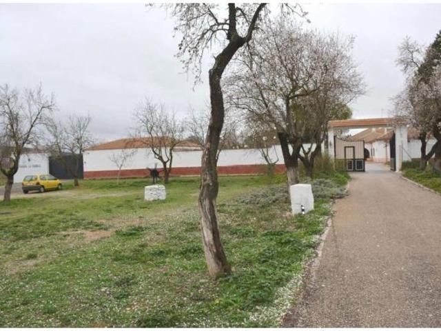 Amplio Terreno Rural en Pozuelo de Calatrava, Ciudad Real