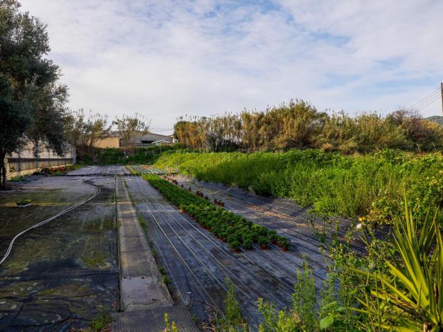 Amplio terreno rústico de 4.000 m2 en Vilassar de Mar