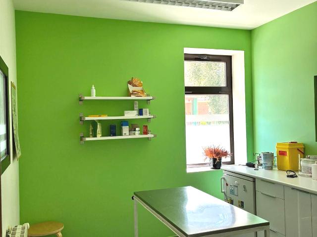 AMPLIO Y LUMINOSO LOCAL COMERCIAL