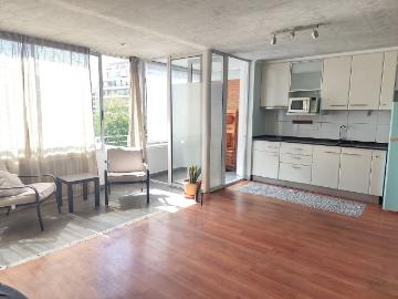 AMPLIO STUDIO CON ESTACIONAMIENTO Y BODEGA