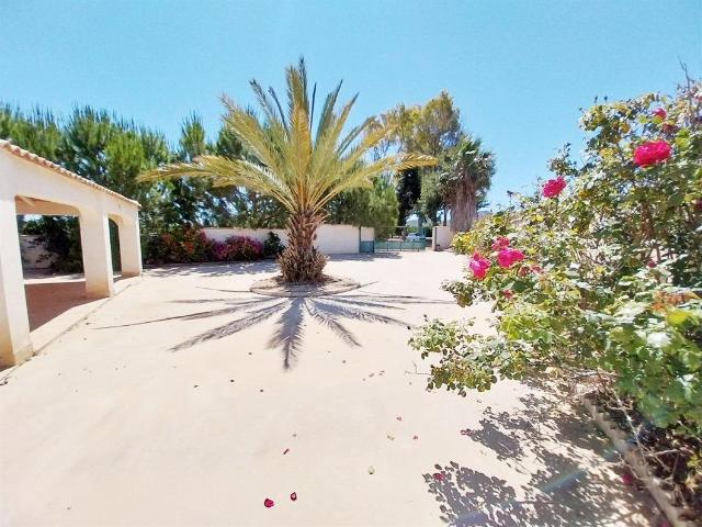 Amplia casa de campo en medio de un huerto de mandarinas