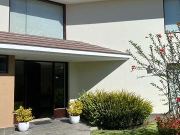 Amplia casa en alquiler challapampa