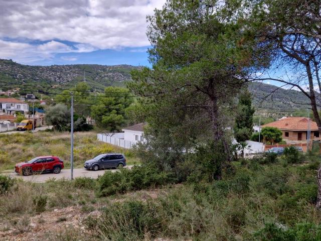 Amplia Parcela en Venta en Canyelles Les Palmeres