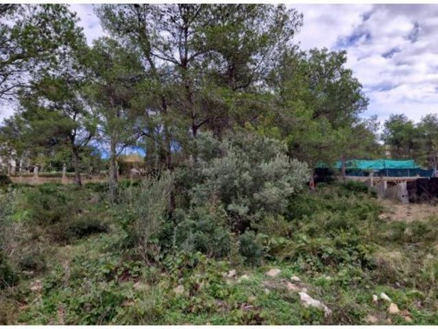 Amplia Parcela en Venta en Canyelles Les Palmeres