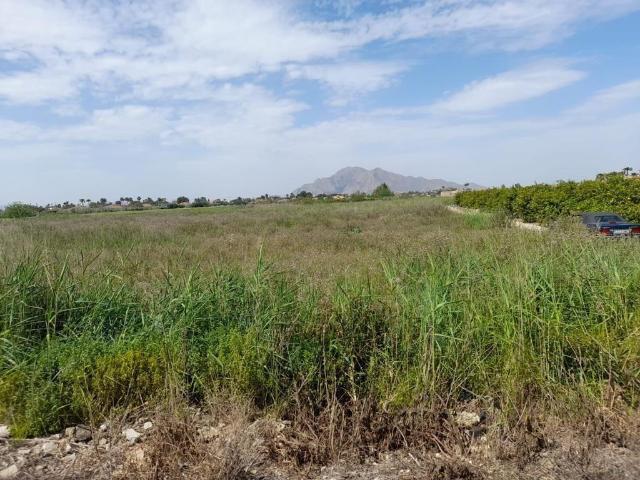 Amplia Parcela en Catral, Alicante Oportunidad Única