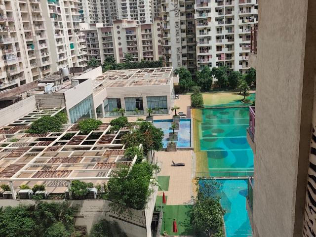 Amrapali Crystal Homes 3 Bedroom 1700 Sq. Ft. Apartment in Sector 76 Noida Listing ID: #9889