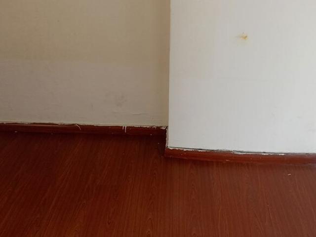 Amrapali Golf Homes 2 Bedroom 835 Sq. Ft. Apartment in Sector 4 Greater Noida Listing ID: #10210